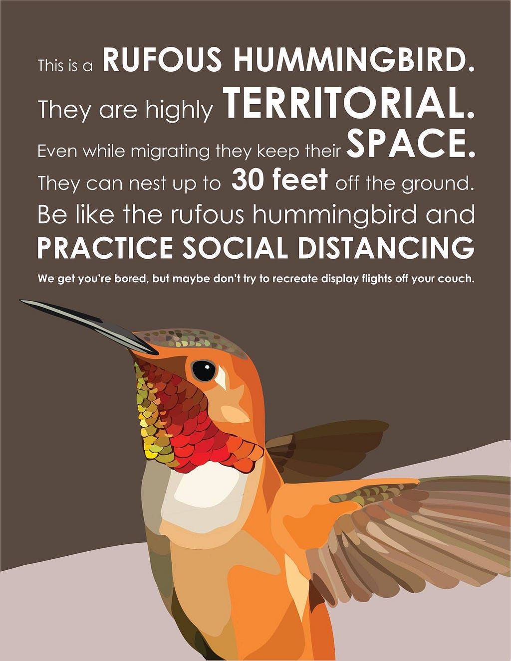 rufus hummingbird social distance meme
