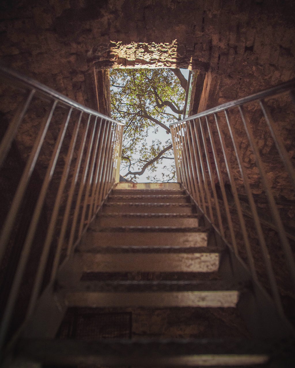 metal stairs leading to an opening in the ceiling and revealing a tree