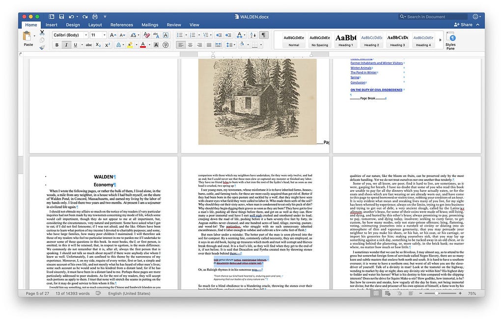 A screen shot of Microsoft Word showing the book “Walden” whose text styling shows multiple defects in font size, weight, etc