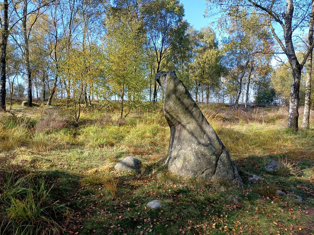 A standing stone in a woodland clearing. The standing stone has a shape that is like a sundial, or a shark fin.