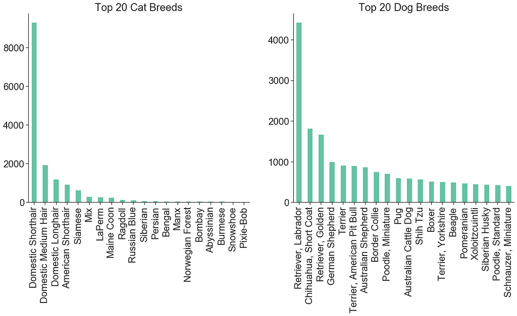 Top 20 Dog and Cat Breeds Licensed in Seattle