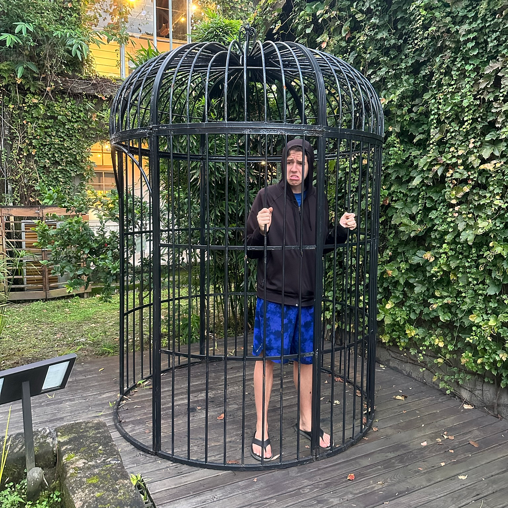 Teenager in an enormous birdcage