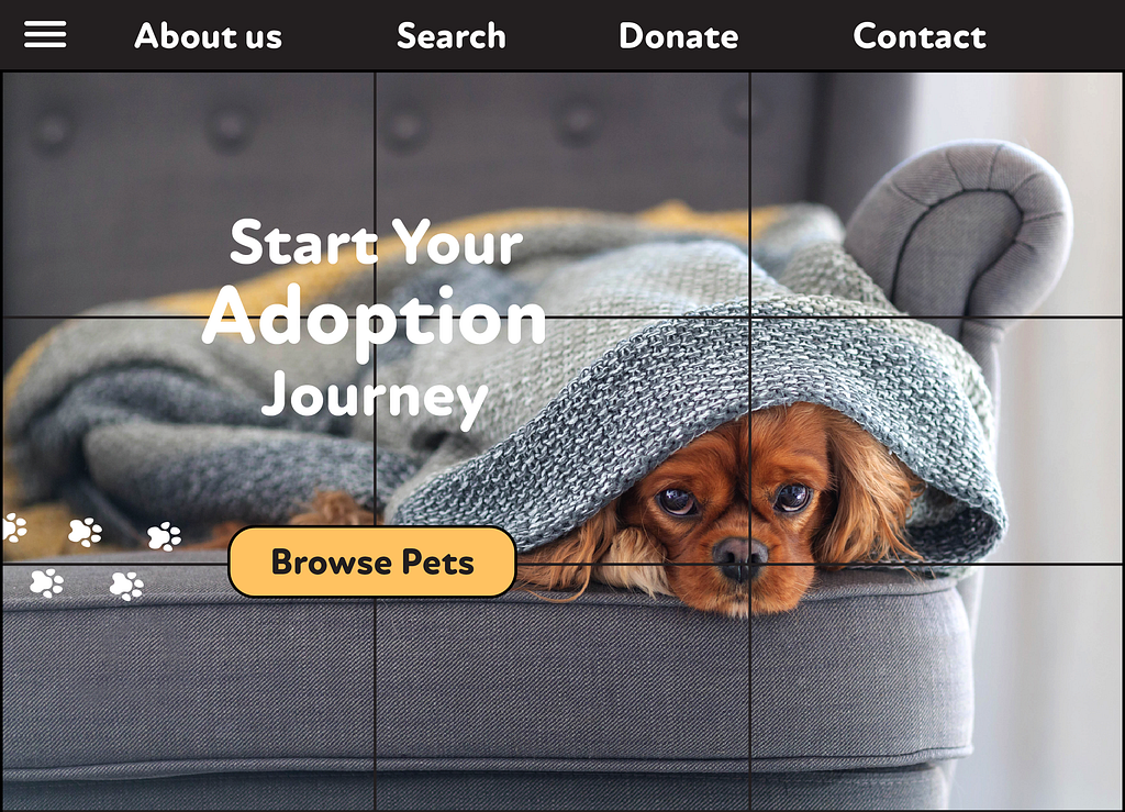 Screenshot of a pet adoption website as an example of the rule of thirds: web design. The rule of thirds for web design ensures that every element of your webpage attracts focus. Place key focus points of photographs, as well as the most important text, buttons, and CTA’s along the four intersections.