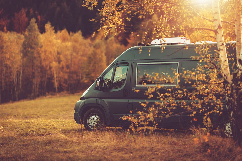 Stealth camper in wooded area