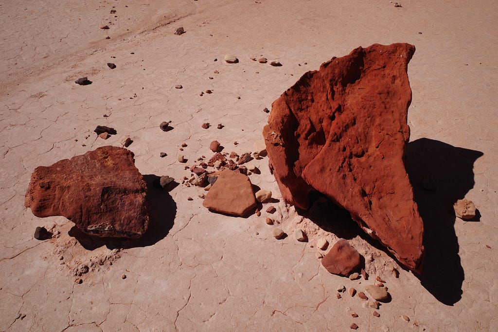 Two broken pieces of dry brown clay and smaller pieces scattered on the ground.