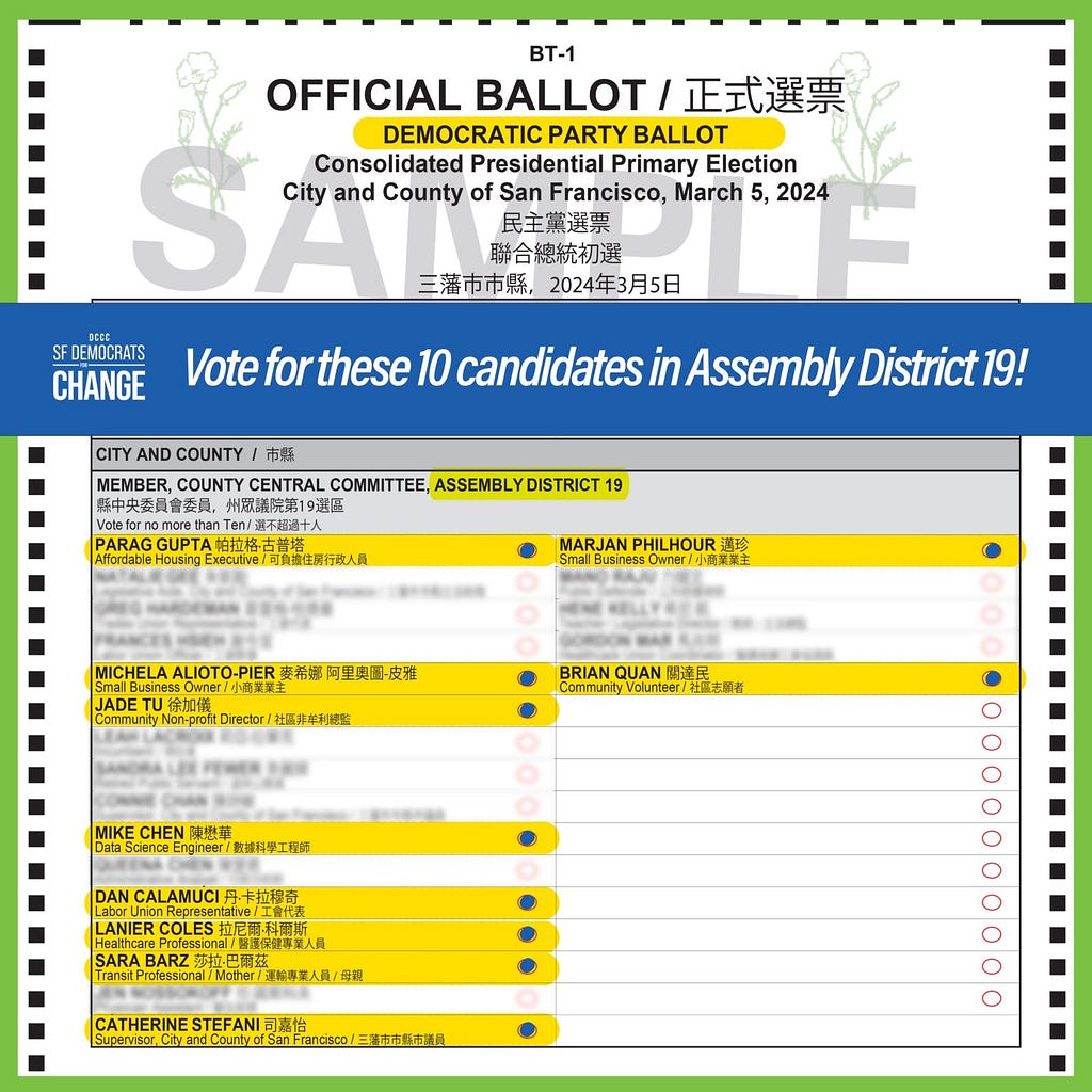 Sample ballot for Democratic Party voters in Assembly District 19 highlighting the candidates running with Mike Chen on the same slate (team)