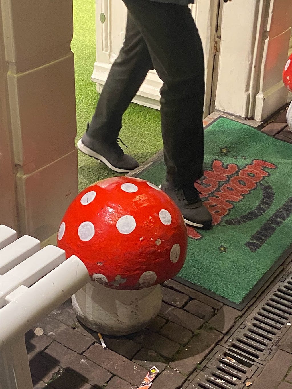 荷蘭阿姆斯特丹賣迷幻蘑菇的smart shop