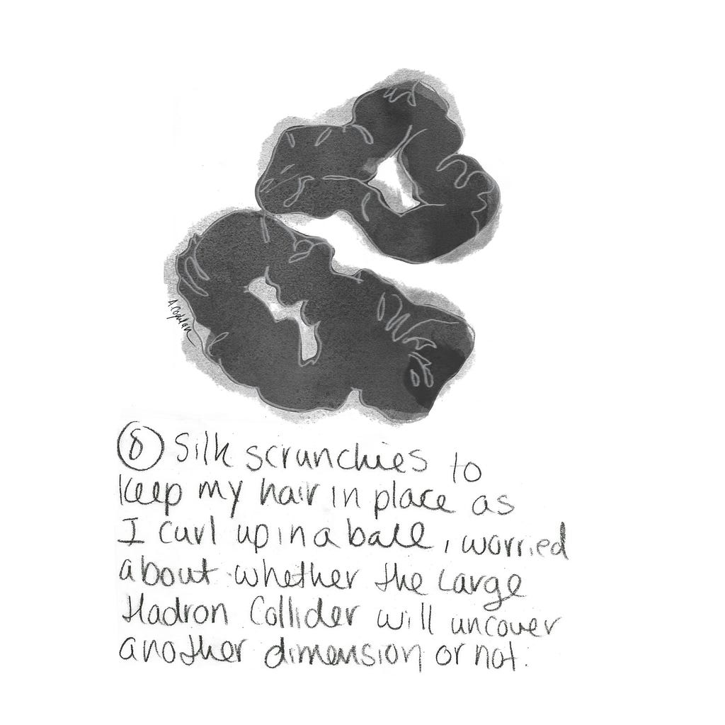 An illustration of two black hair scrunchies with the accompanying text: “Silk scrunchies to keep my hair in place as I curl up in a ball, worried about whether the Large Hadron Collider will uncover another dimension or not”