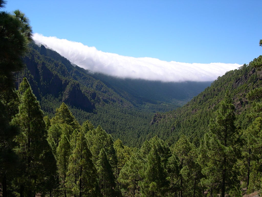 A valley filled with green trees stretches as far as the eye can see.