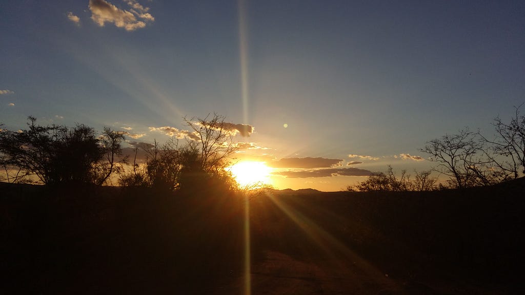 Foto do arquivo pessoal — uma visão do cerrado.