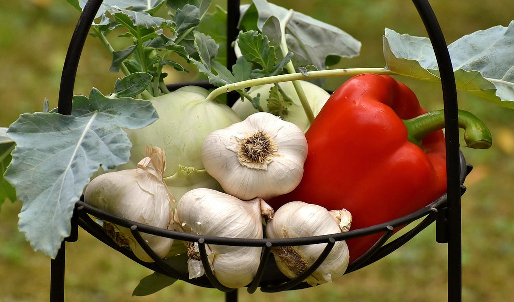 Medicinal benefits of raw garlic