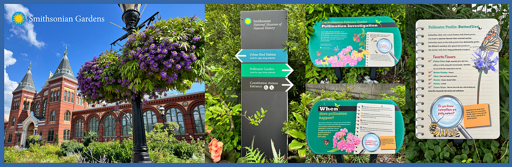 Bâtiment de la Smithsonian et panneaux de jardins expliquant la pollinisation