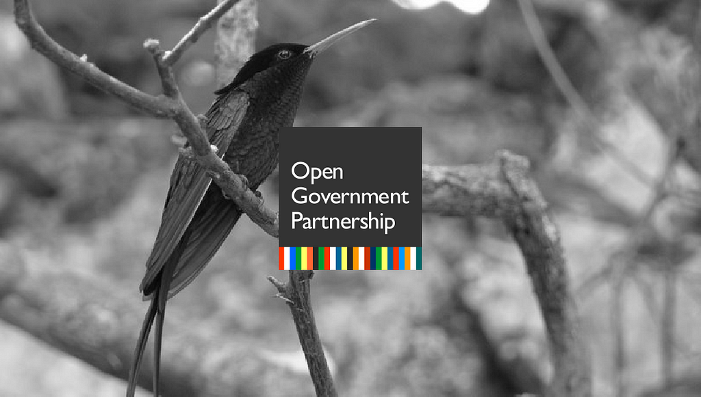 Open Partnership Government Logo