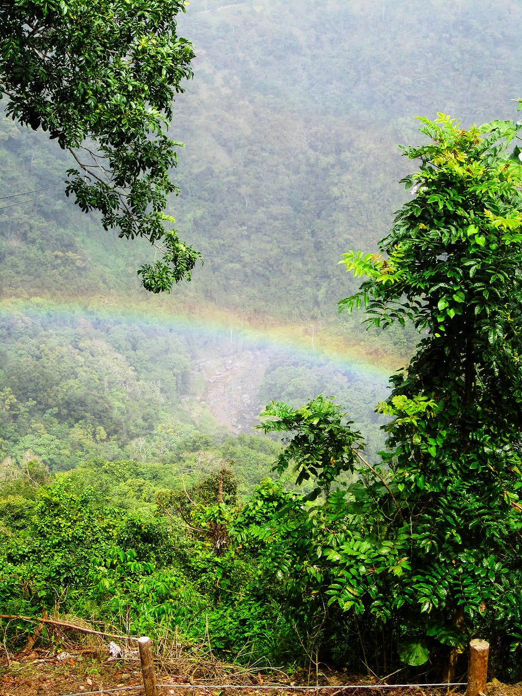 a rainbow in the mist in a jungle valley in Toro Verde