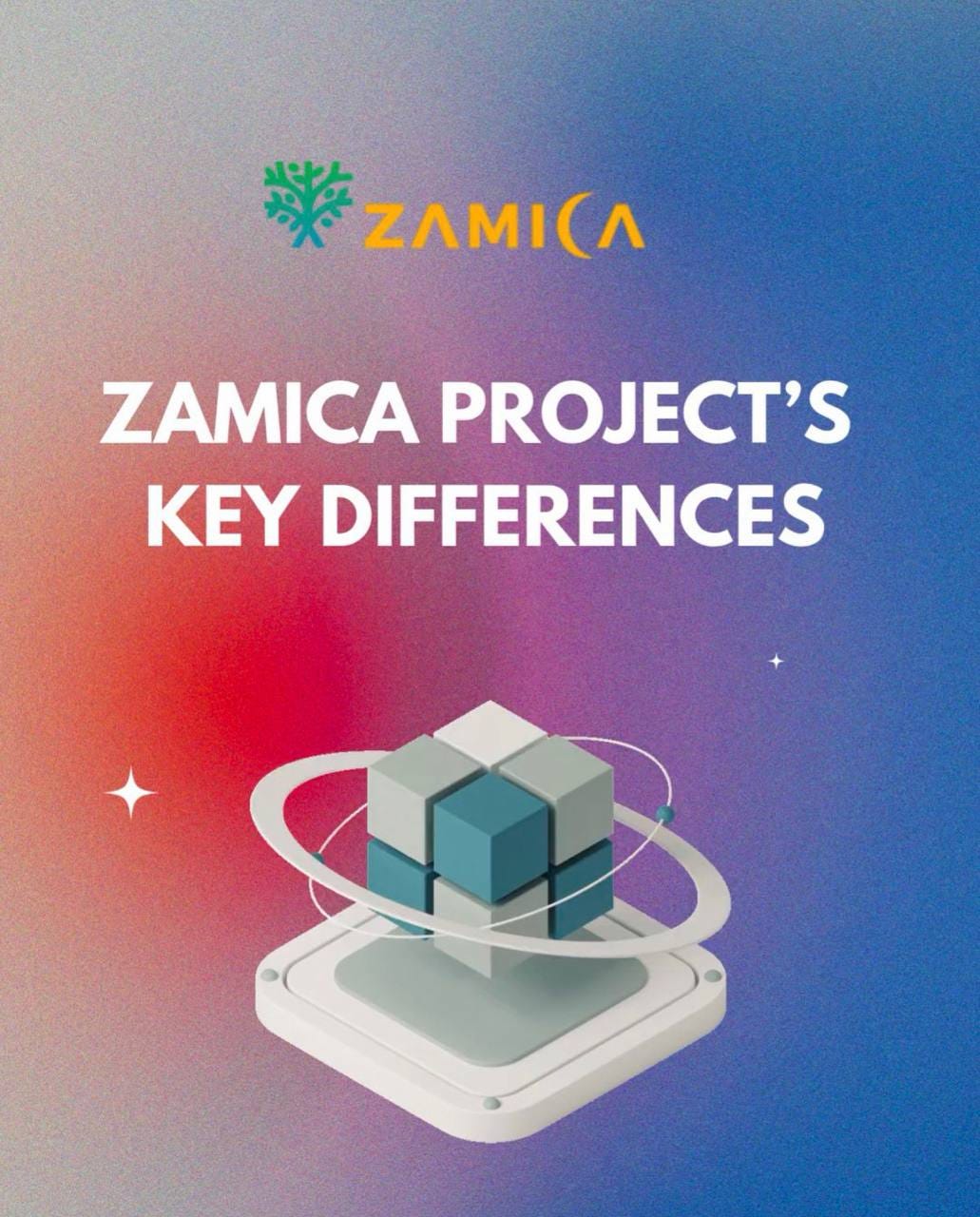 ZAMICA PROJECT’S KEY DIFFERENCES ⛓️‍