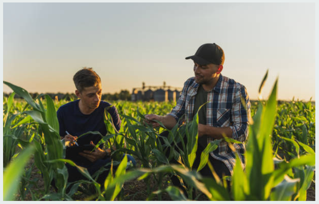 5 Innovative Solutions in Agricultural Activities: Staff Picked