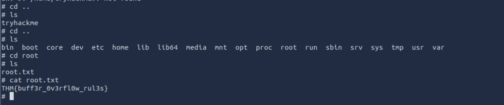 Sudo Buffer Overflow: TryHackMe walkthrough