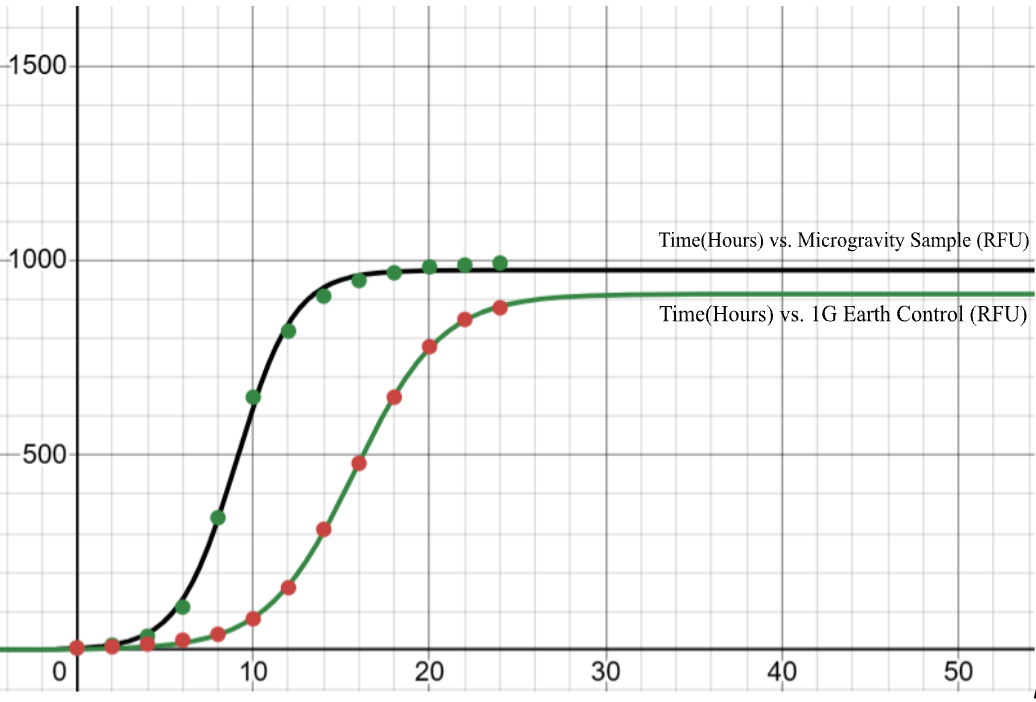 In Vitro Analysis of SNCA Expression and Alpha-Synuclein Aggregation i
