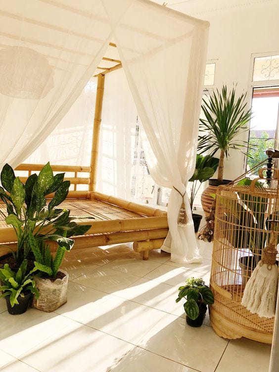 A gorgeous bed and canopy made completely out of bamboo