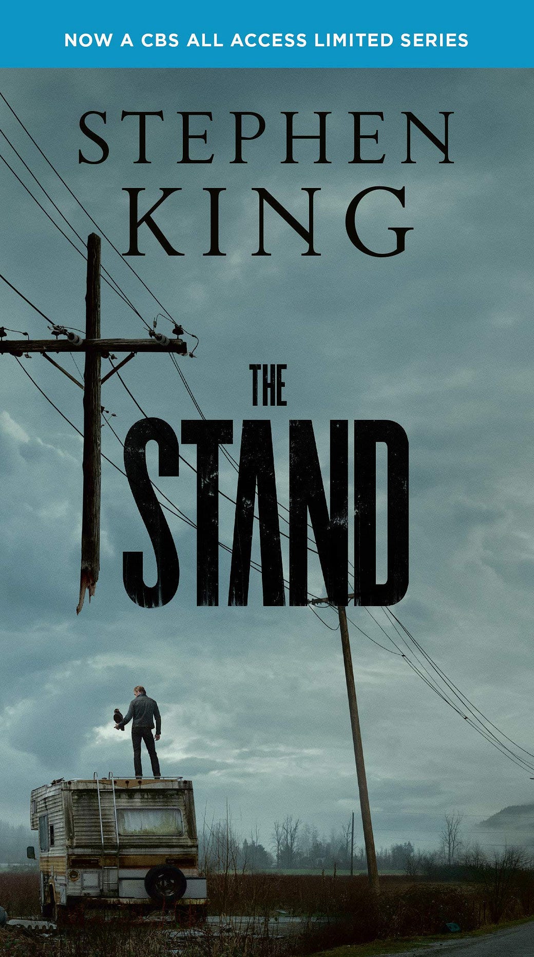 Cover of the book The Stand