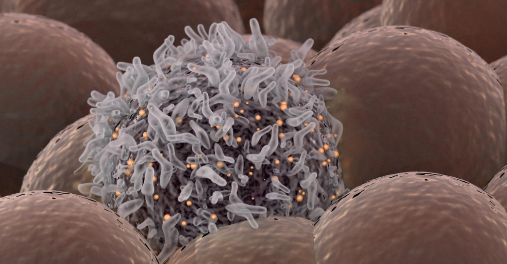 *169* Biology 4 /6 The Gaps Between What We Observe, What We Do, and How Systems Actually Work
