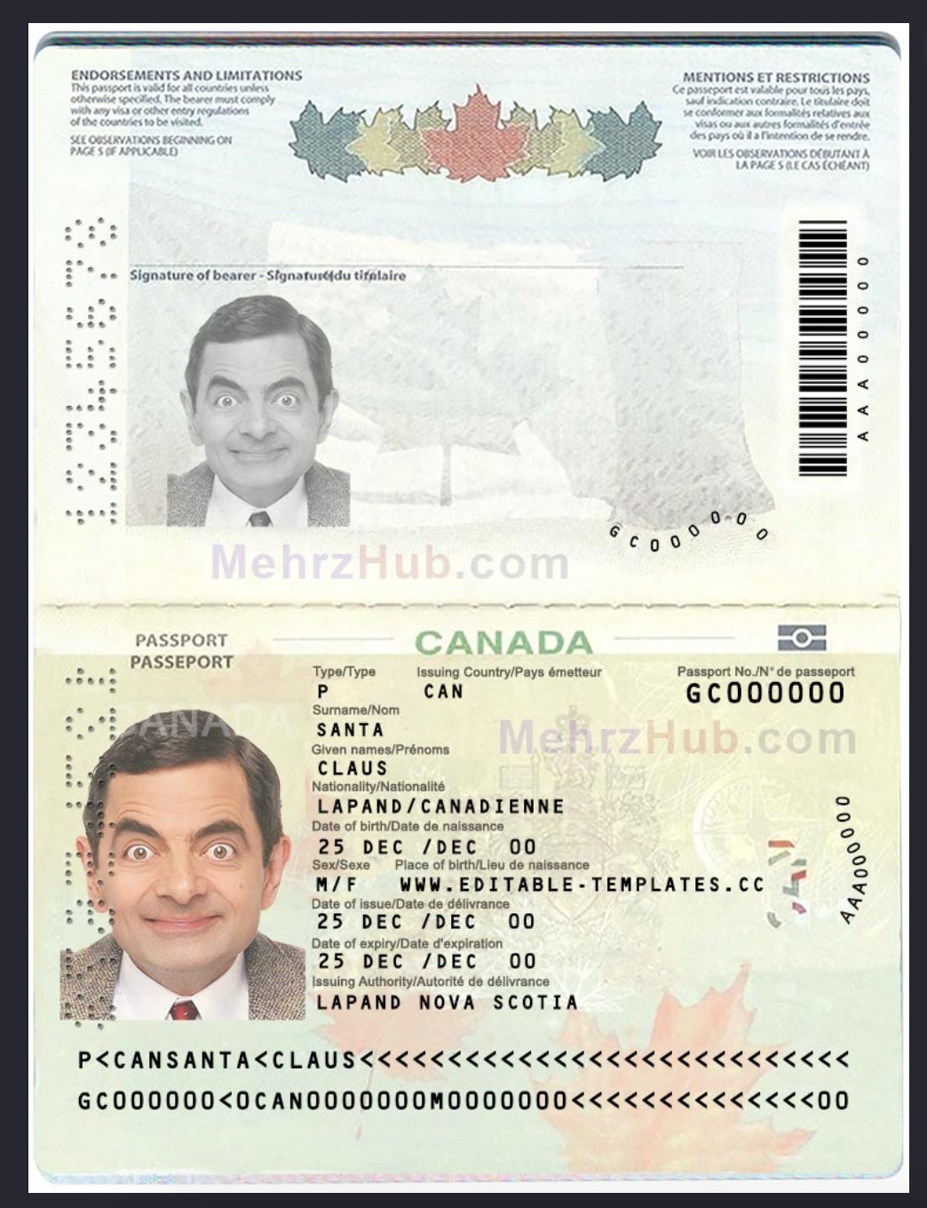 Harnessing OCR and OpenAI: A Structural Guide to Passport Text Extraction