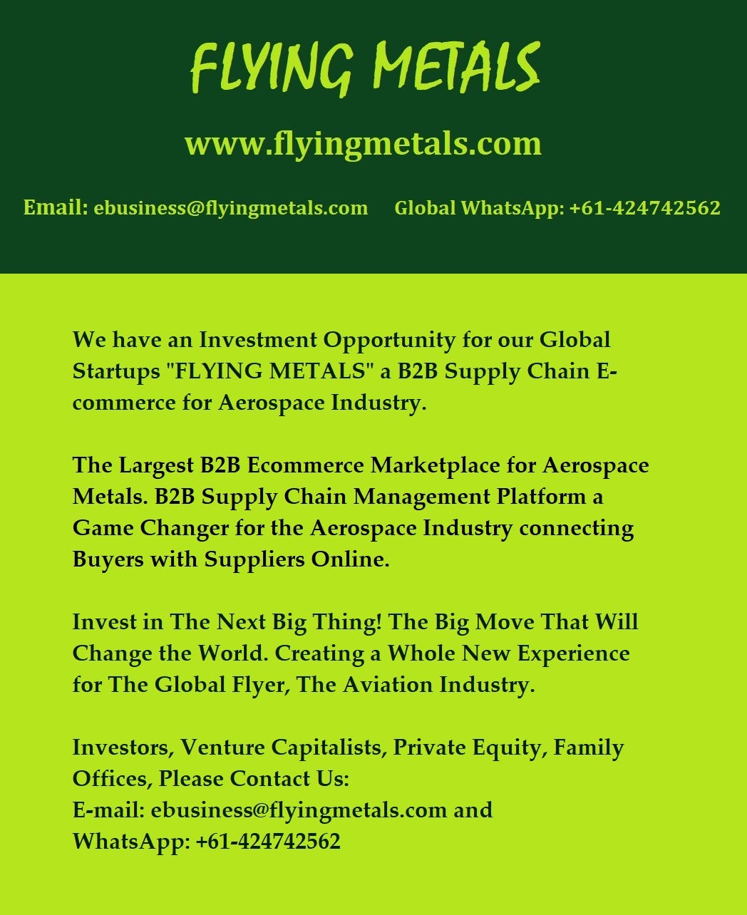 Investment Opportunity?—?FLYING METALS