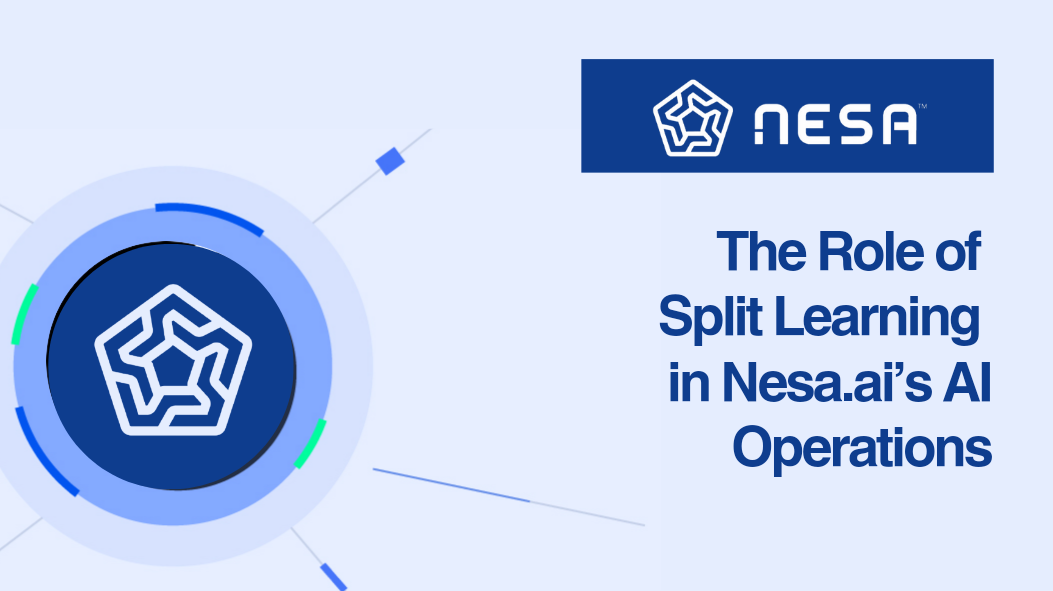 The Role of Split Learning in Nesa.ai’s AI Operations