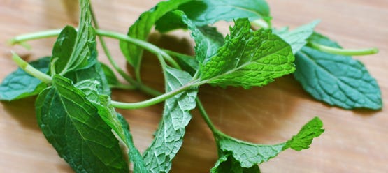 Mint from my garden