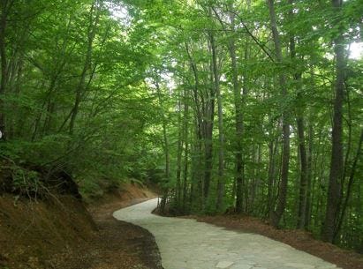 my path to data