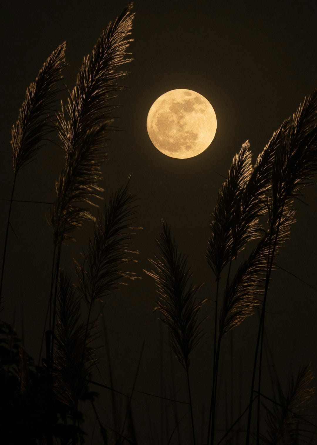 Did we go to the moon-