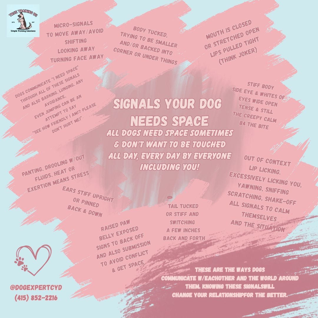 do you know when your dog nee do you know when your dog nee