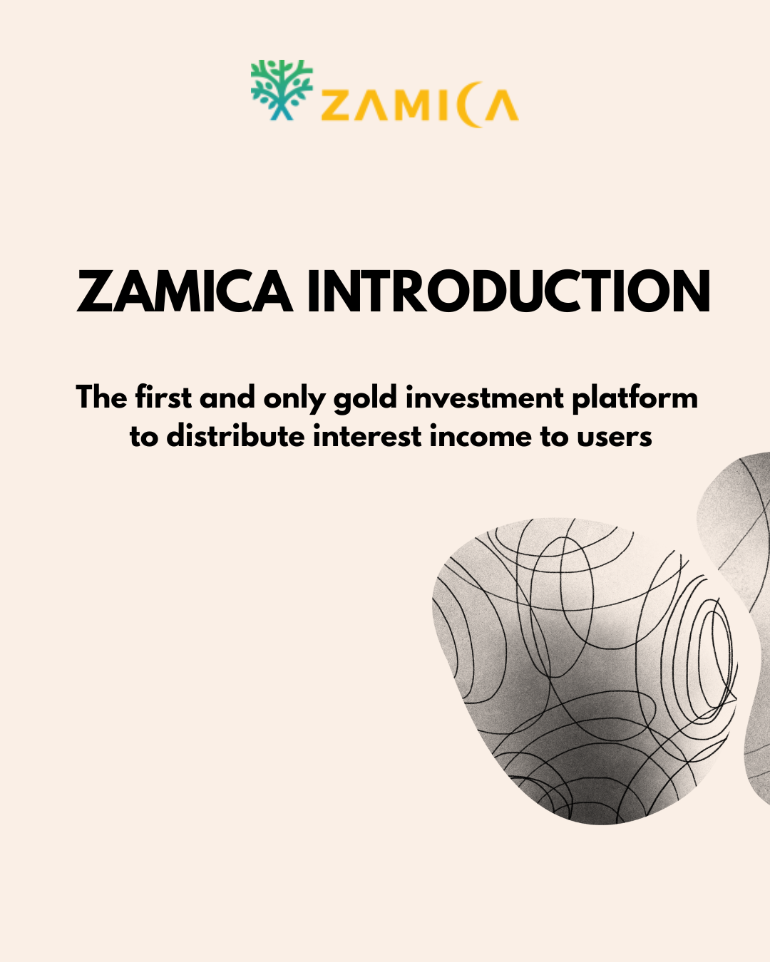 ZAMICA INTRODUCTION