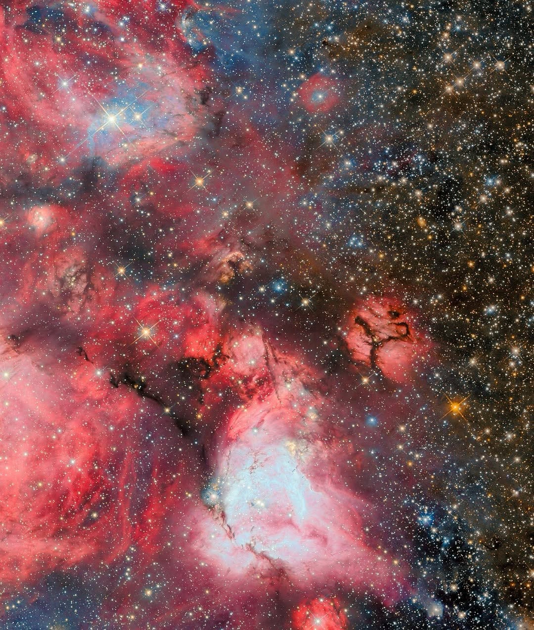 Stellar Nurseries at Work: Inside N159 ?