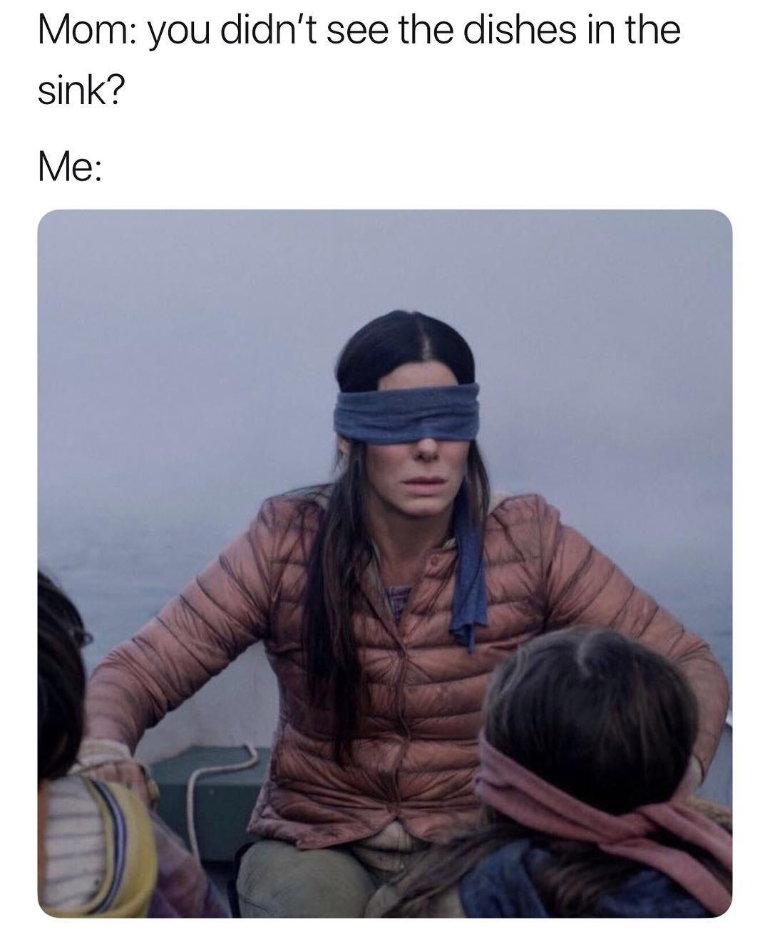 Image result for birdbox memes