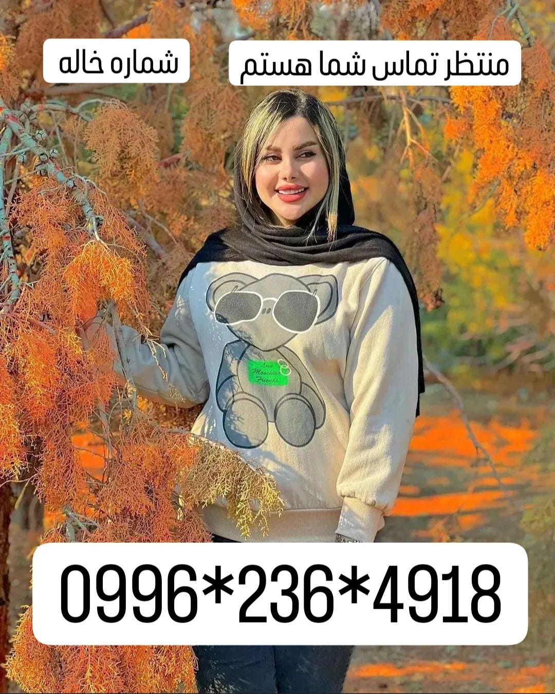 شماره خاله قزوین