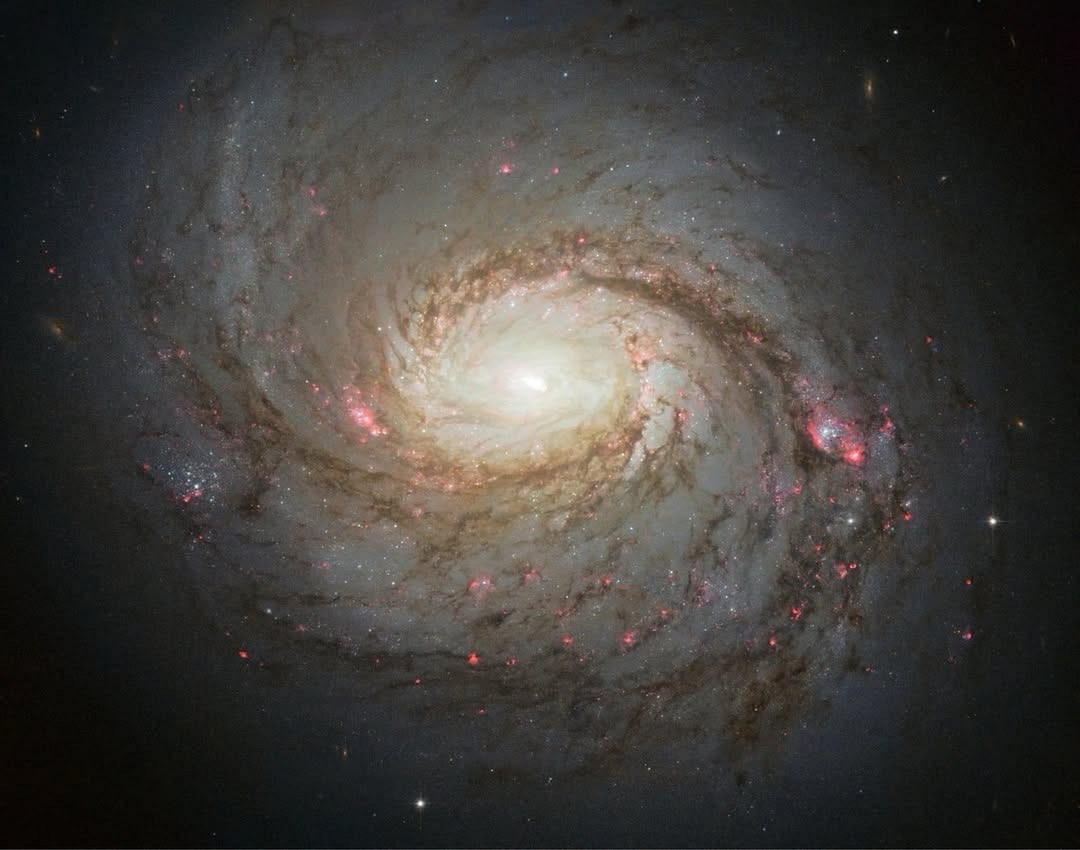 35 Years of Stargazing: A Cosmic Farewell with Galaxy M77 ?