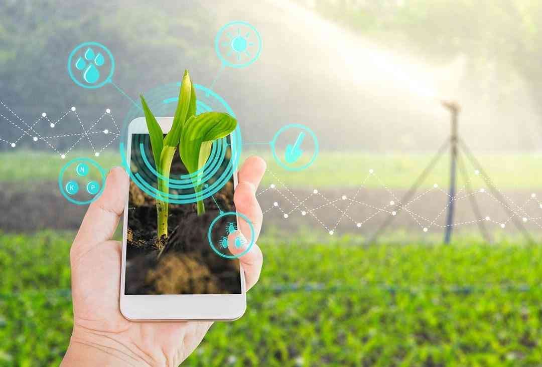 Smart Farming untuk Mengoptimalkan Hasil Produksi