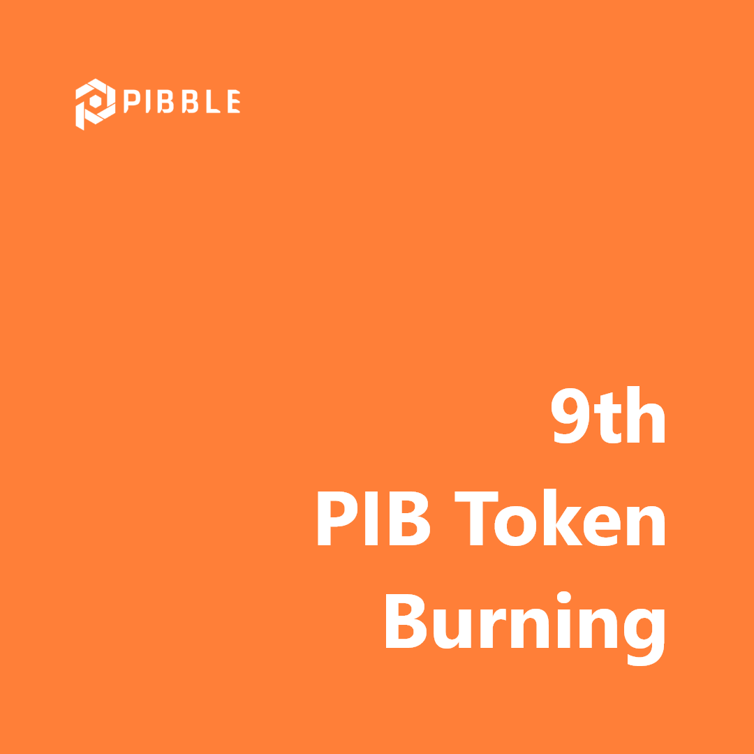 9th PIB token burning announcement