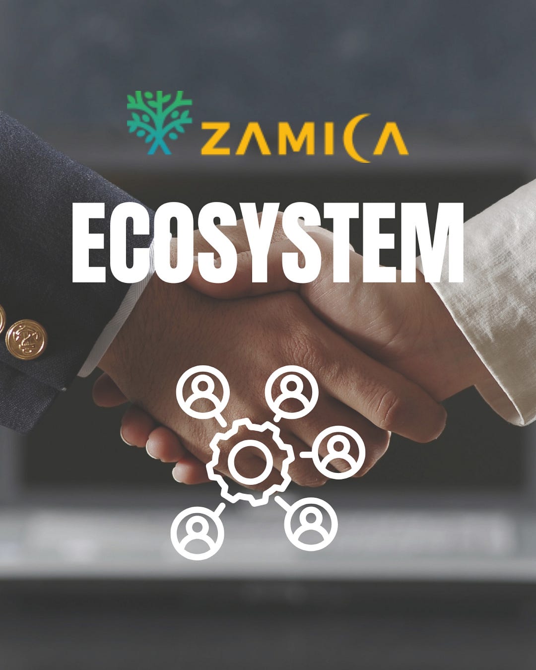 ZAMICA ECOSYSTEM 