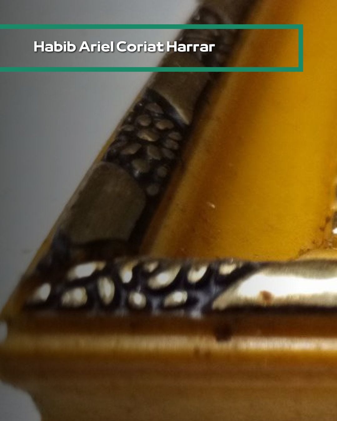 |Habib Ariel Coriat Harrar| Gemelos Digitales