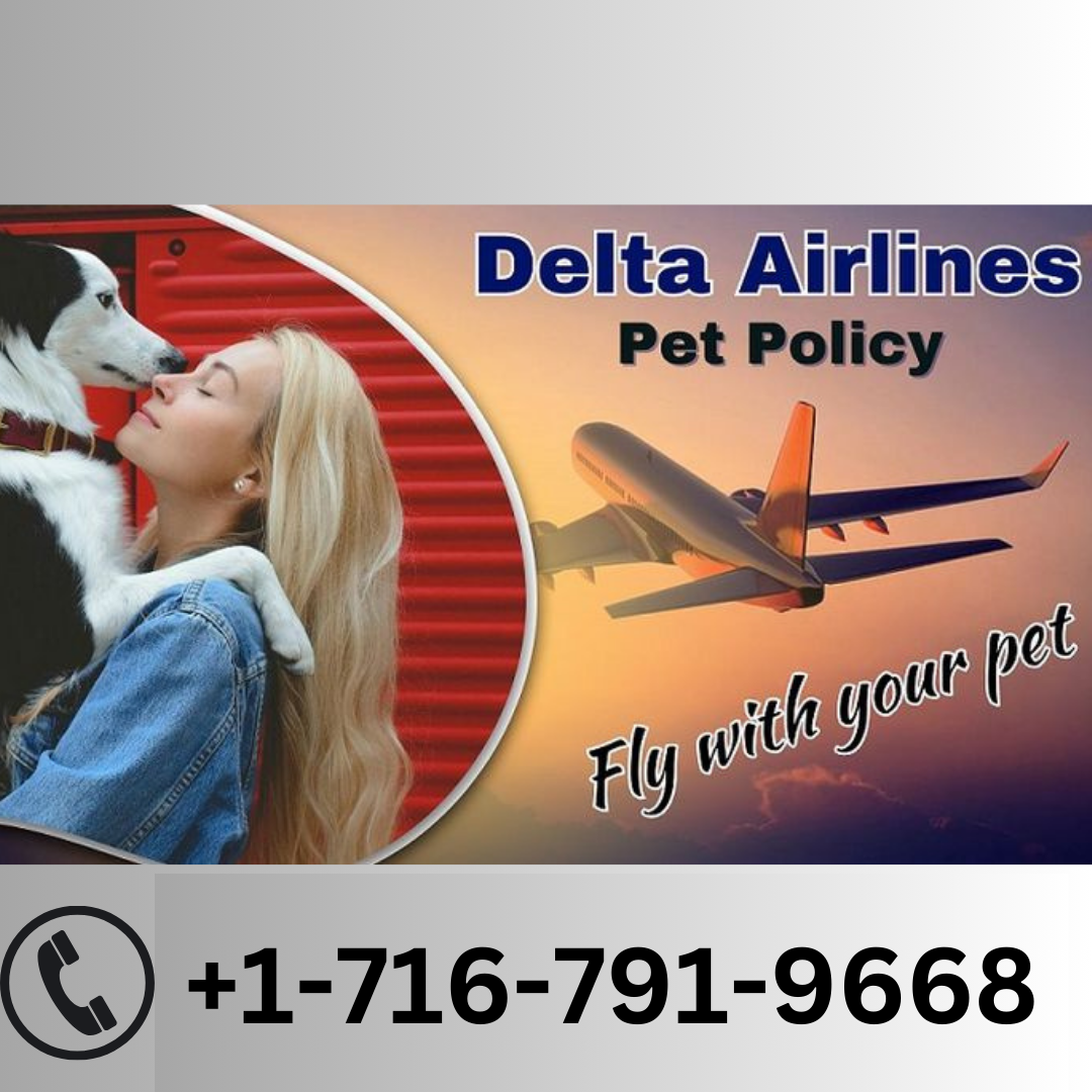 Your Complete Guide to Delta Airlines Pet Travel Policy