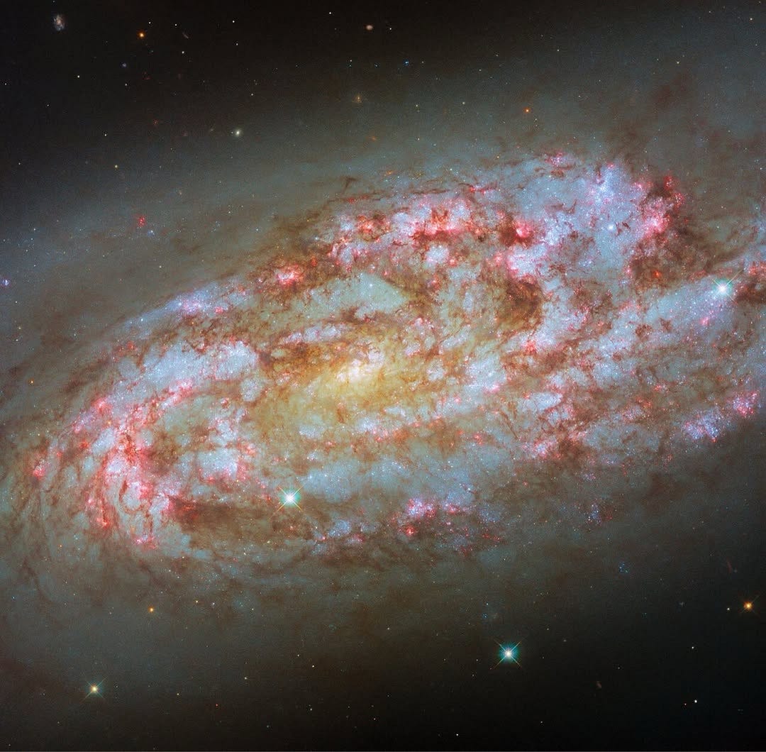 Cosmic Firestorm: The Starburst Saga of NGC 1792 ?