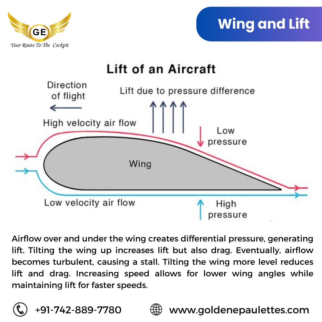 Wing and liftWing and lift