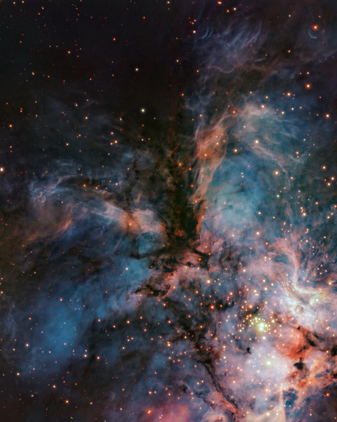 The Hawk That Hunts Failed Stars The Hawk That Hunts Failed Stars