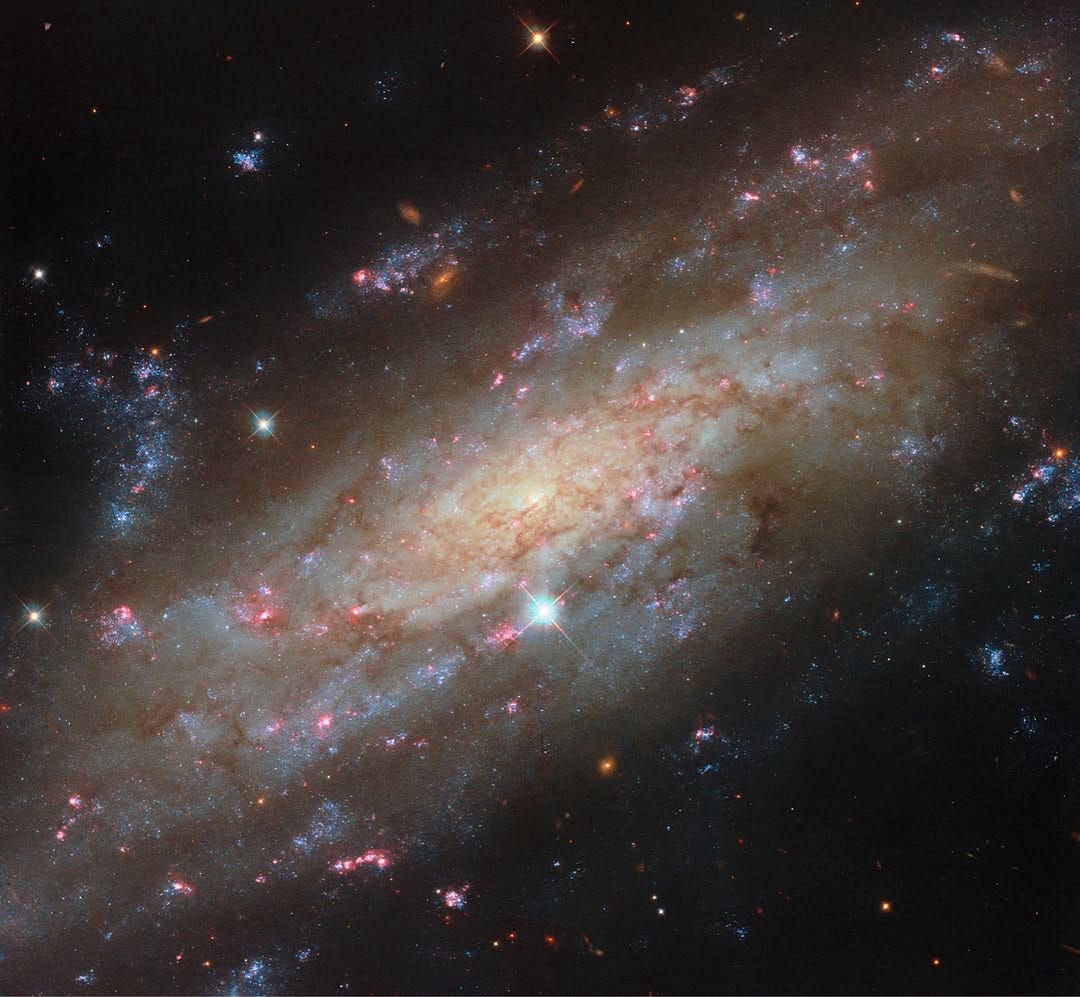 A starry spiral in a familiar neighbourhood.
