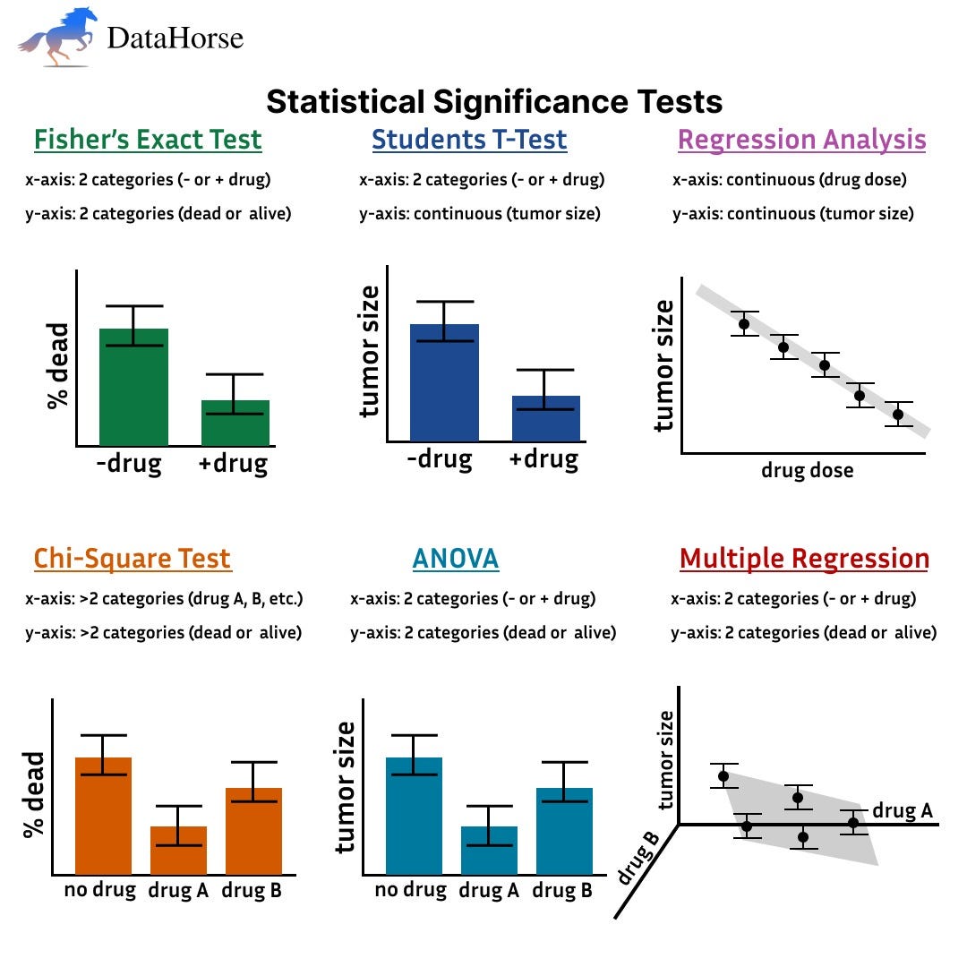 Deep Dive into Statistical Analysis with DataHorse