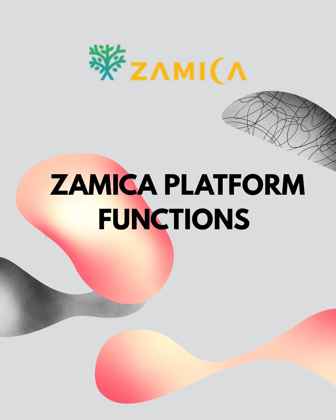 ZAMICA PLATFORM FUNCTIONS