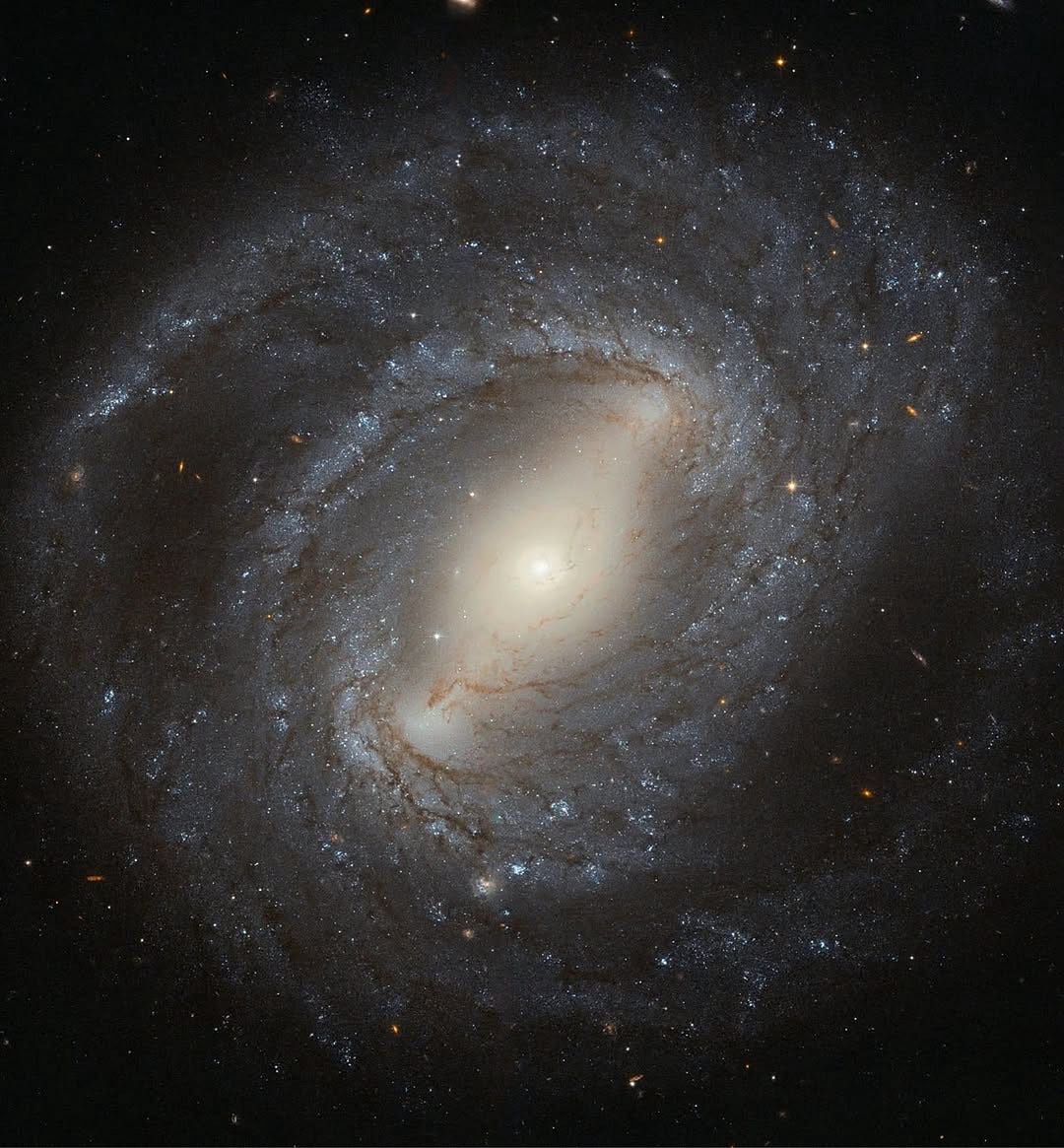 NGC 4394 is a barred spiral galaxy captured here by Hubble.
