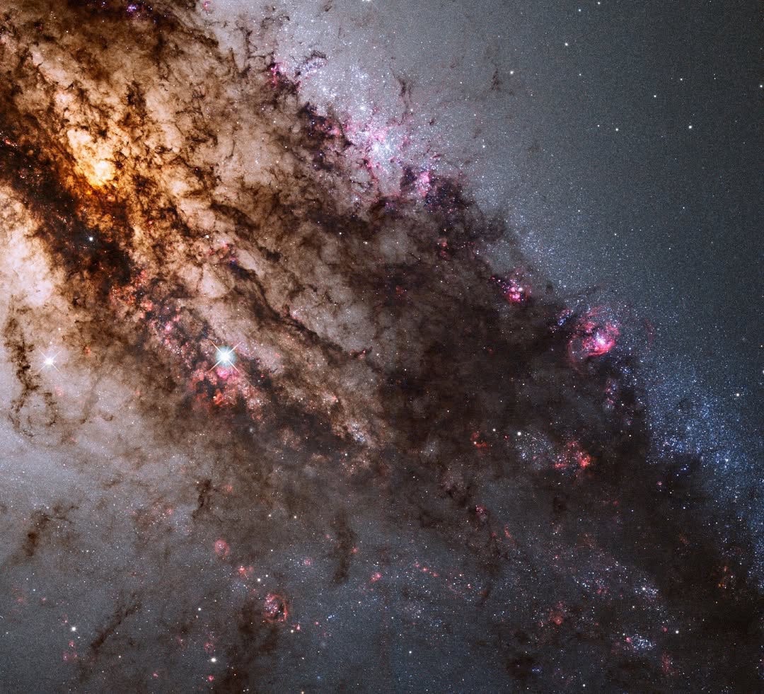 Firestorm of stars